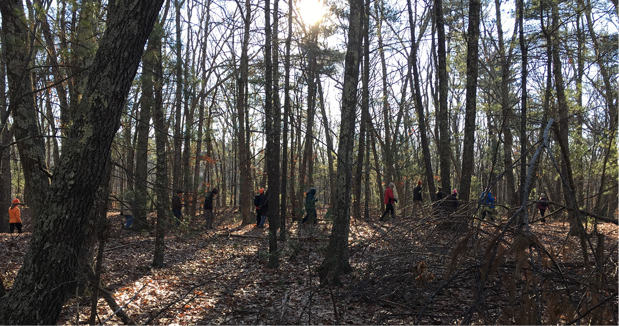 20181220 ECGA ThroughTheWoods_CrystalGorge