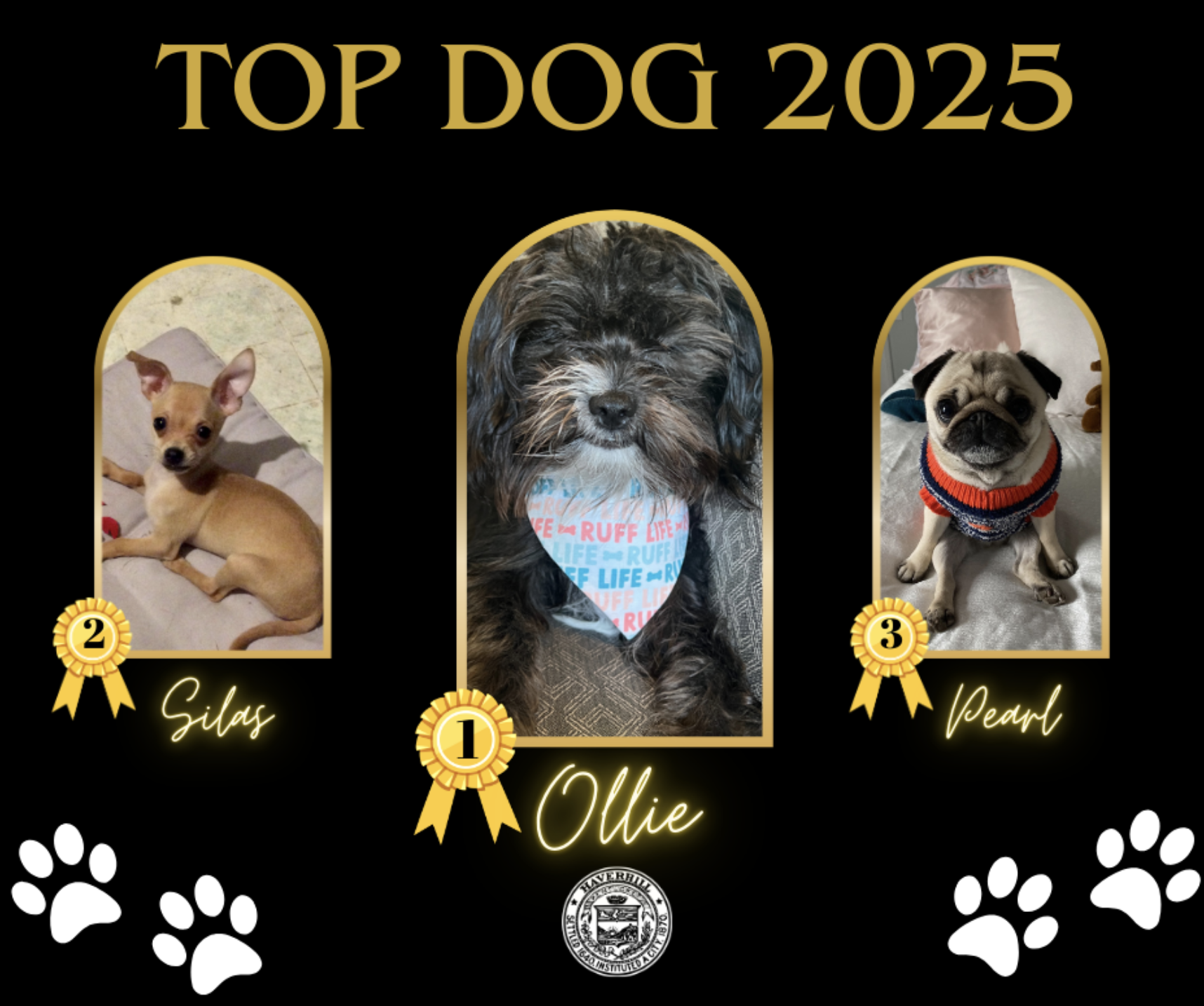 Top Dog 2025